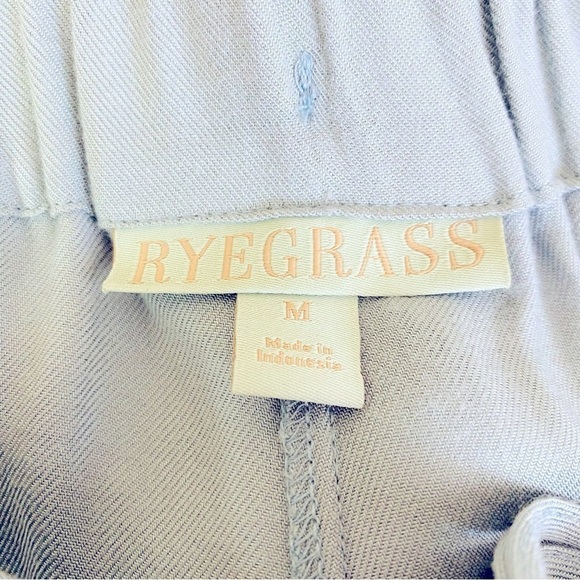 Raegrass Slate Luxe Jogger Pants Size M - Picture 12 of 13